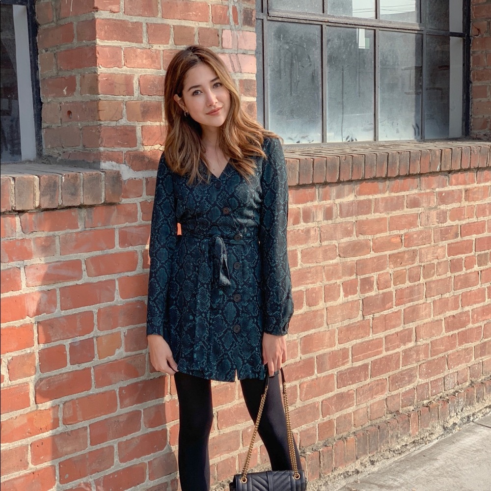 Zara green and black animal printed dress